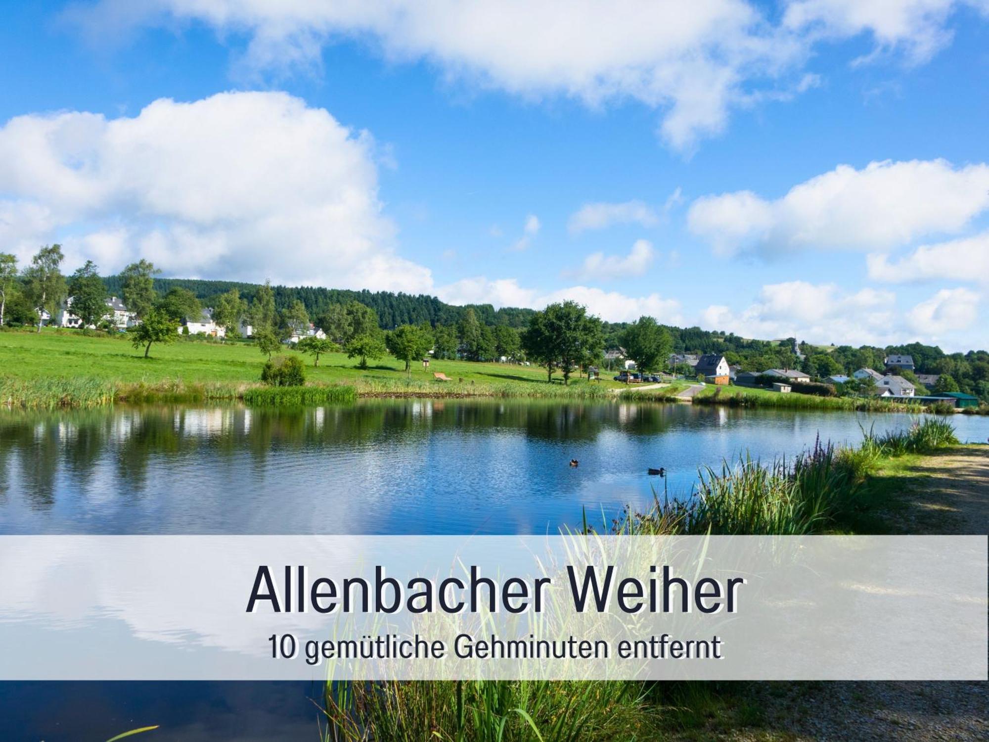 Natur-Chalet Zum Nationalpark Marie-Luise Inkl E-Auto Allenbach Dış mekan fotoğraf