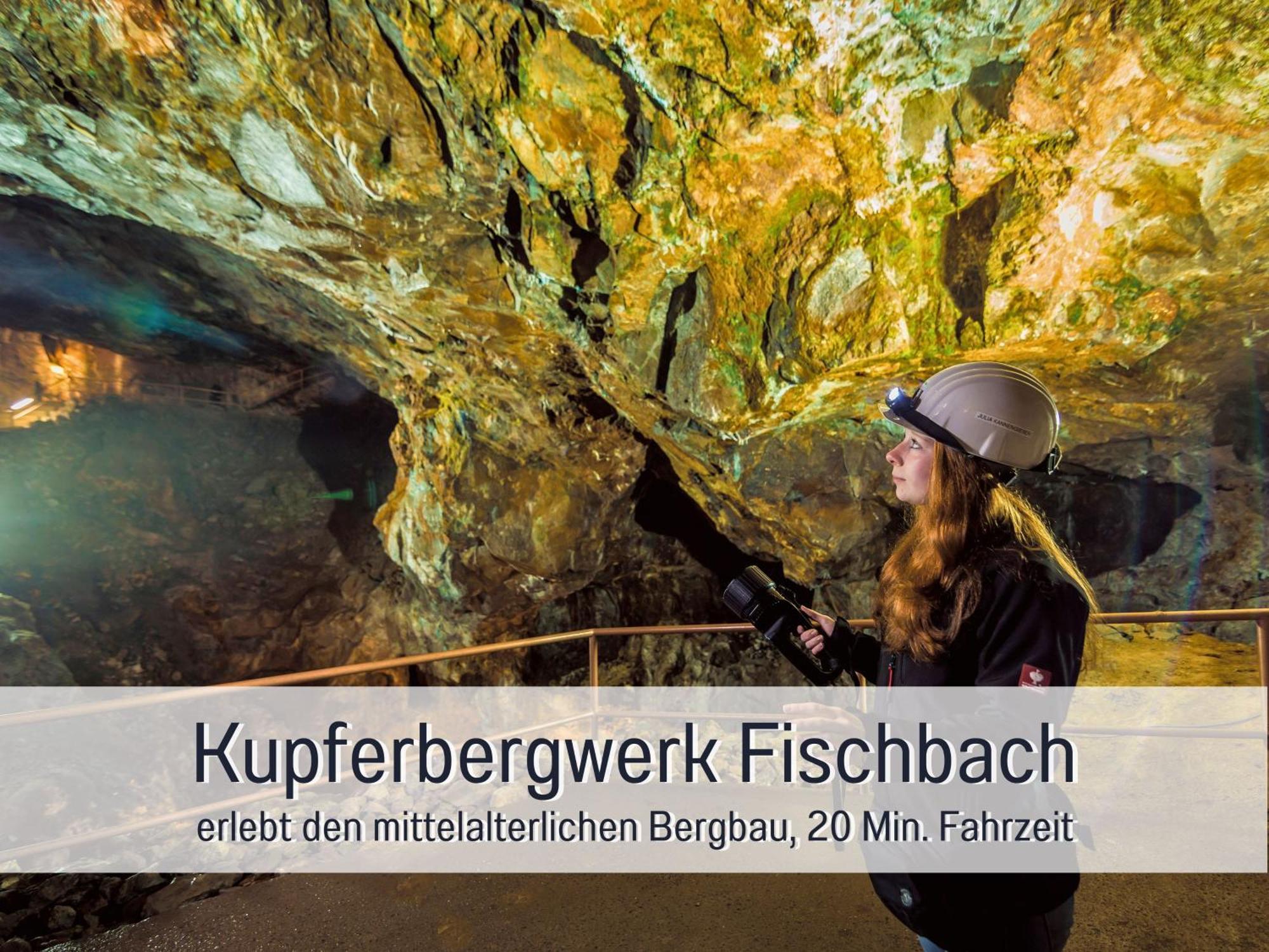 Natur-Chalet Zum Nationalpark Marie-Luise Inkl E-Auto Allenbach Dış mekan fotoğraf
