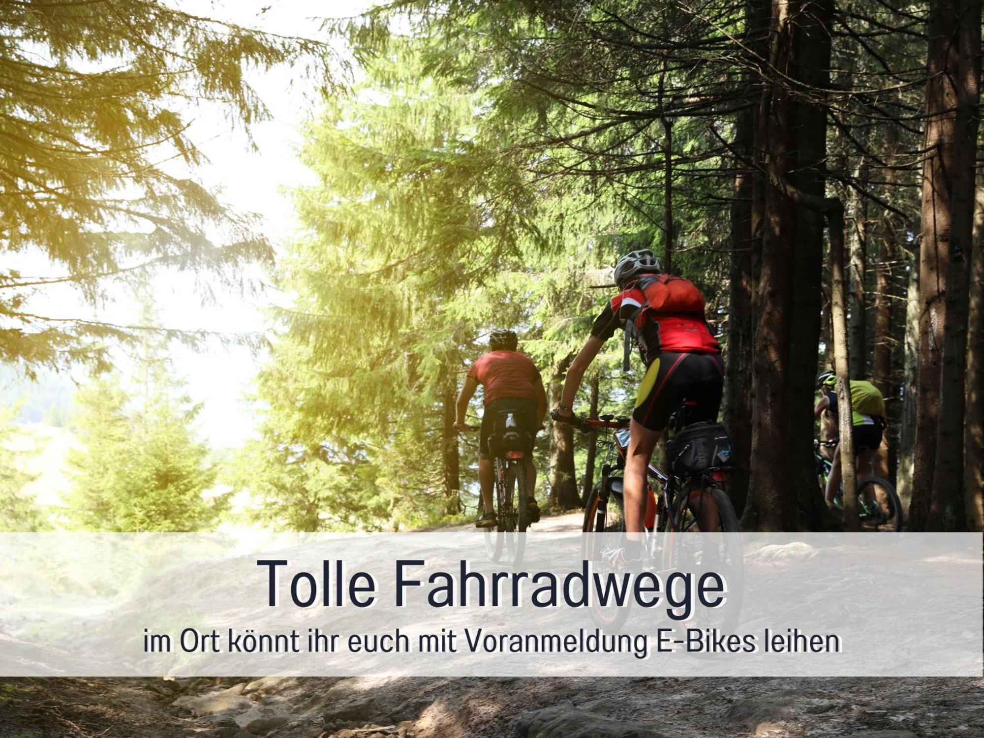 Natur-Chalet Zum Nationalpark Marie-Luise Inkl E-Auto Allenbach Dış mekan fotoğraf