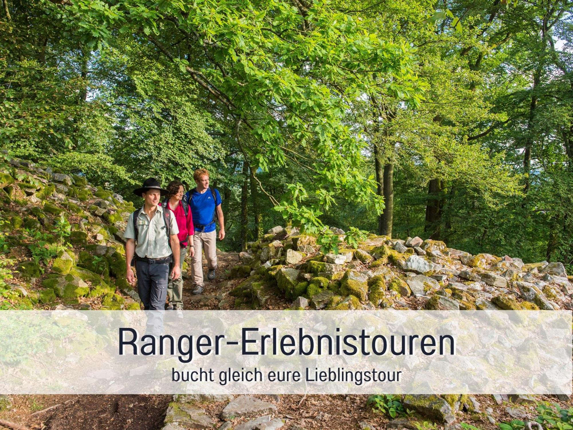 Natur-Chalet Zum Nationalpark Marie-Luise Inkl E-Auto Allenbach Dış mekan fotoğraf