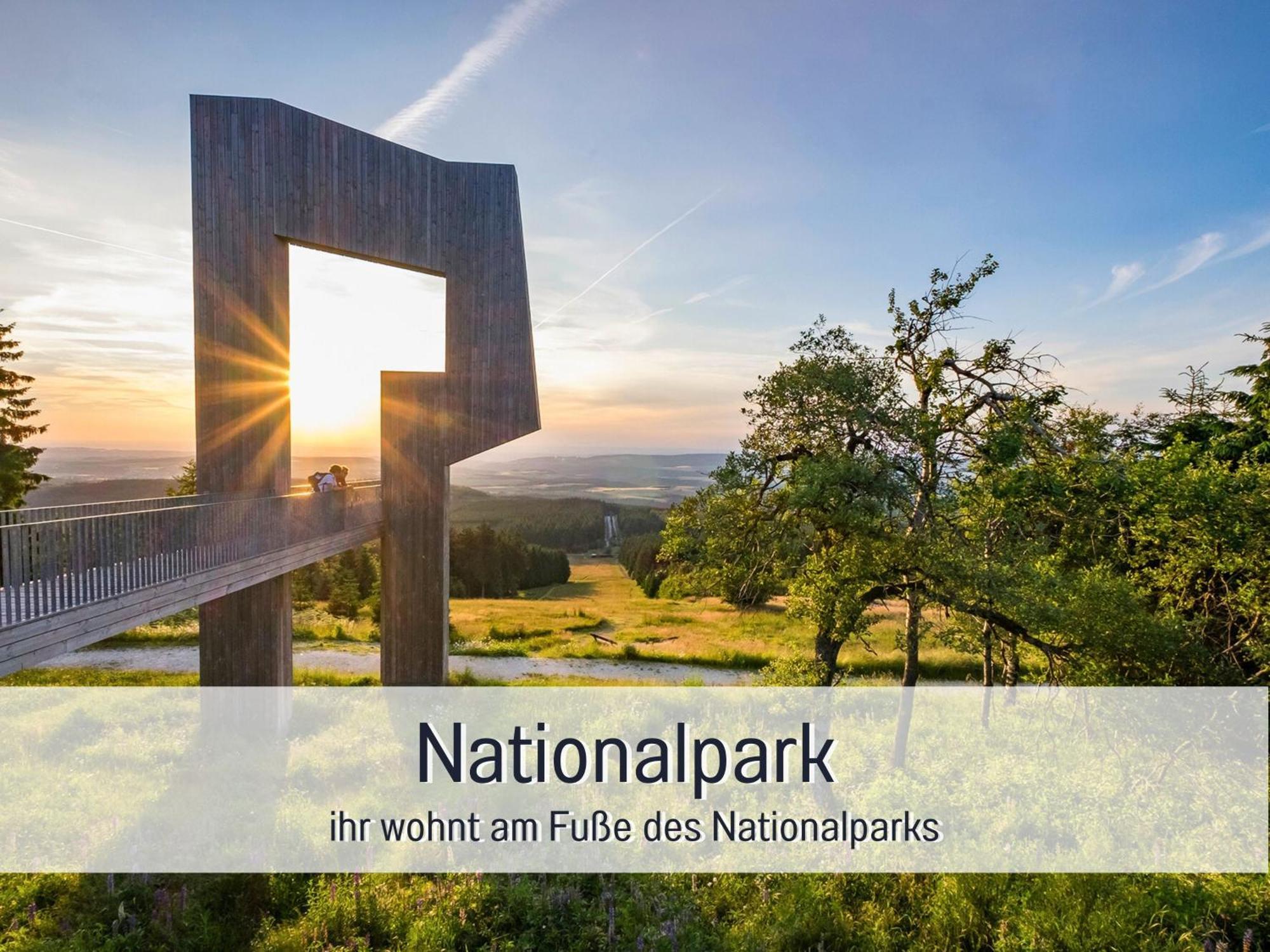 Natur-Chalet Zum Nationalpark Marie-Luise Inkl E-Auto Allenbach Dış mekan fotoğraf